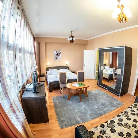 Dzsungel 2* Nyíregyháza