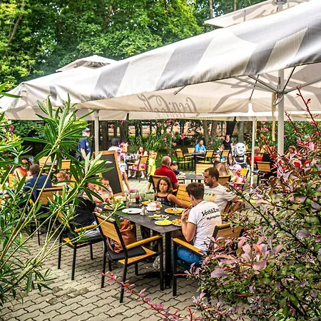 Hotel Dzsungel 2*