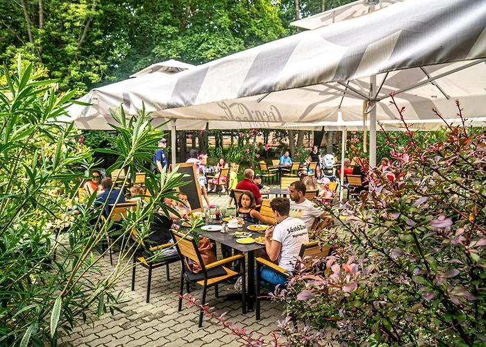 Hotel Dzsungel 2*